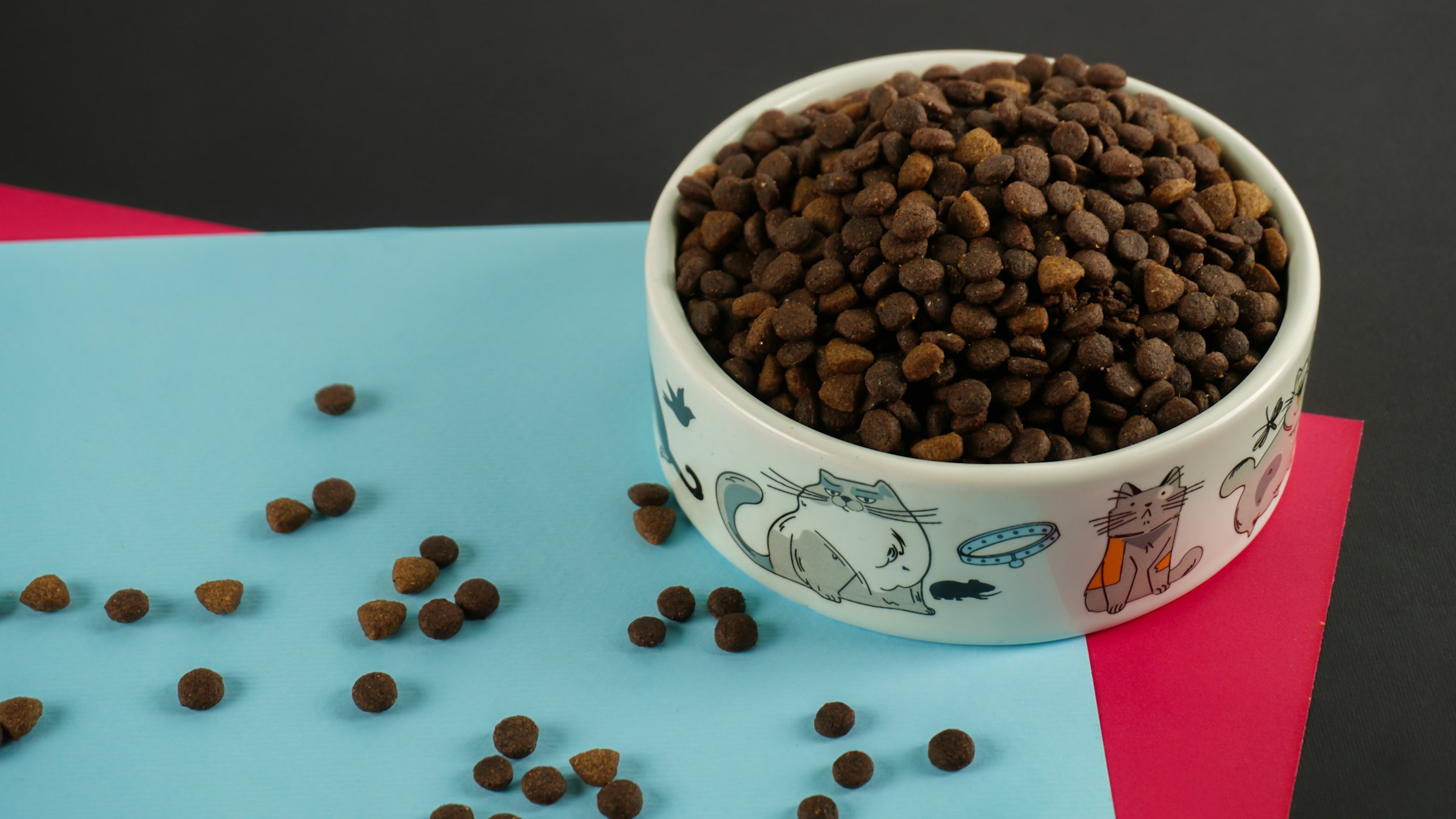 펫푸드 상세페이지, AI 성분 분석이 신뢰를 바꾸는 방식